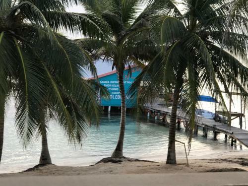 Hotel The Palapa House