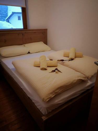 Posada Guest House Alpha Ski Camp