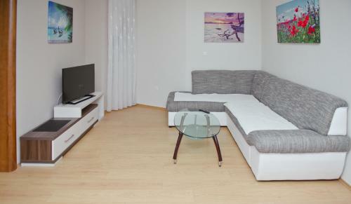 Apartments Domane Nenad