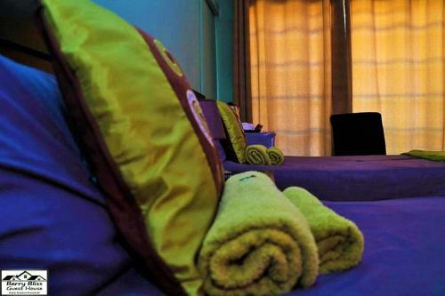 Hostal Berry Bliss Guest House