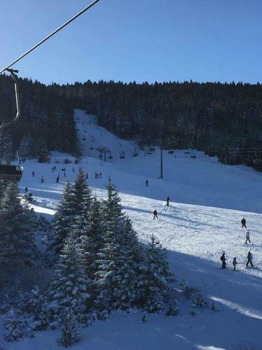Hotel Adria Ski