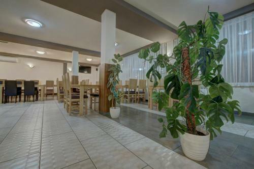 Motel Tihe Noci