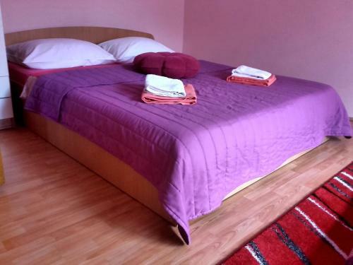 Apartment Iva