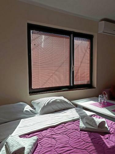 Apartment Iva