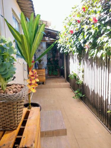 Casa De F�rias Noronha