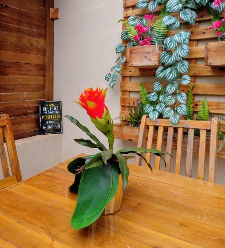 Casa De F�rias Noronha