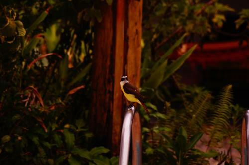 Hostal Pousada Tubar�o