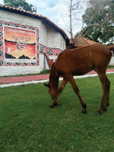 Agroturismo Pousada Marajoara