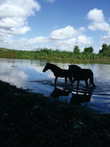 Agroturismo Pousada Marajoara