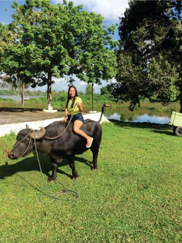 Agroturismo Pousada Marajoara