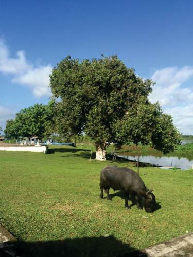 Agroturismo Pousada Marajoara