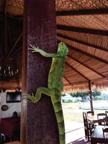 Agroturismo Pousada Marajoara
