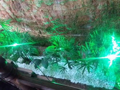 Hostal Pousada Vov� Chiquinho
