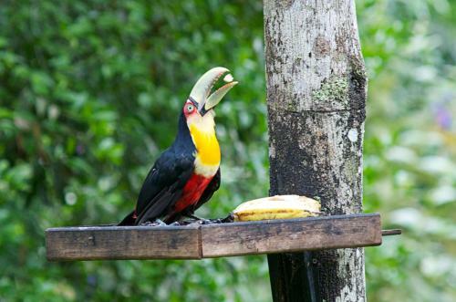 Bed & Breakfast Sitio Namaste Paraty