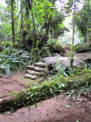 Bed & Breakfast Sitio Namaste Paraty