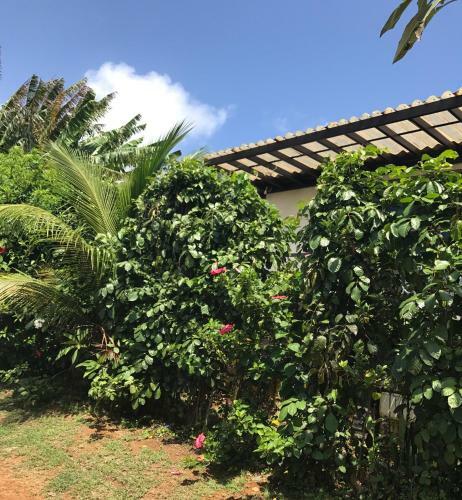 Hostal Flats Baia Dos Porcos