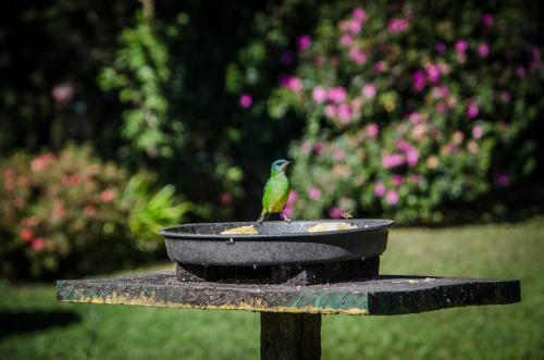 Rancho Do Pav�o Charmoso Chal�