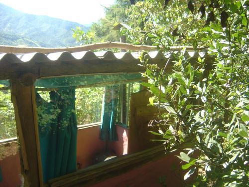Org�nica-mente B&B