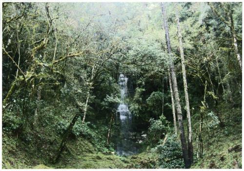 Lodge Hospedagem Nossa Senhora Das Gra�as