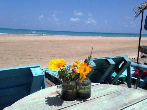 Posada The Spot - Beachfront Sports Pousada