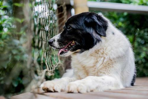 Bed & Breakfast Na Mata