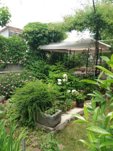 Hostal Kyshta Za Gosti Venera