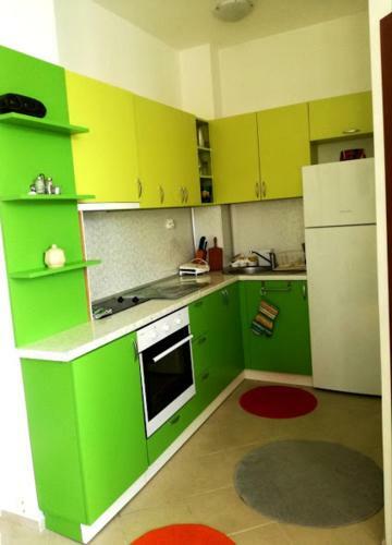 Apartments Elinor Budzhaka