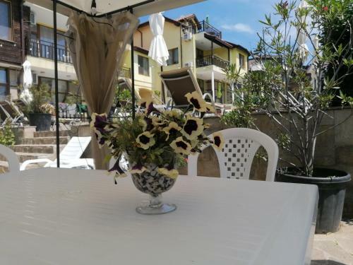Apartments Elinor Budzhaka