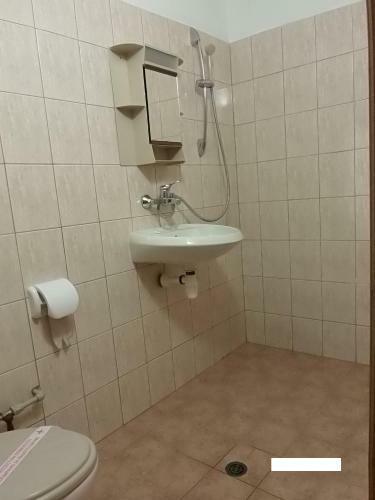 Hostal Zlatna Kotva - Andi