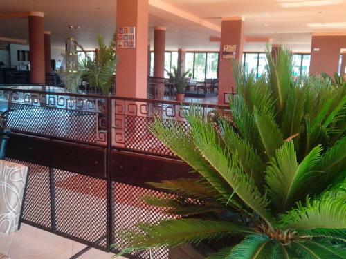 Hotel La Piazza Primorsko Rooms & Apartments