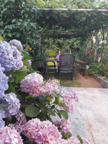 Hostal Georgievi Homestay