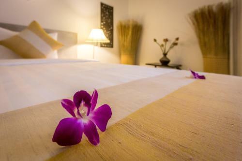 Villa Vmansion Boutique Hotel