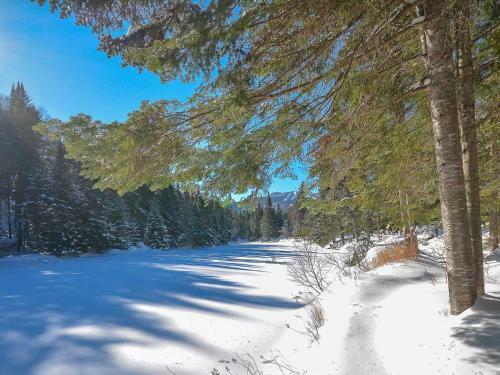 Apartamentos Condo Tremblant Versant Nord / Bord De L 'eau