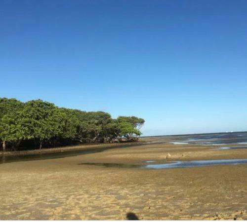 Casa Na Barra De S�o Miguel Barra Mar