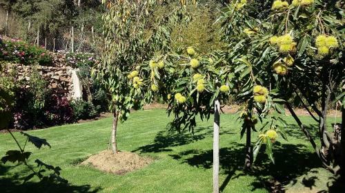 Lodge Hosteria Los Olivos
