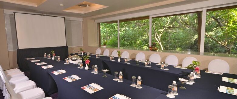 Hotel Las Brisas Ixtapa