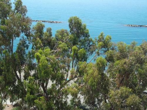 Apartamento Myria Court