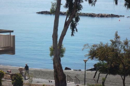 Apartamento Myria Court