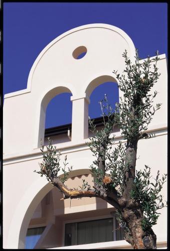 Napa Plaza Hotel (adults Only)