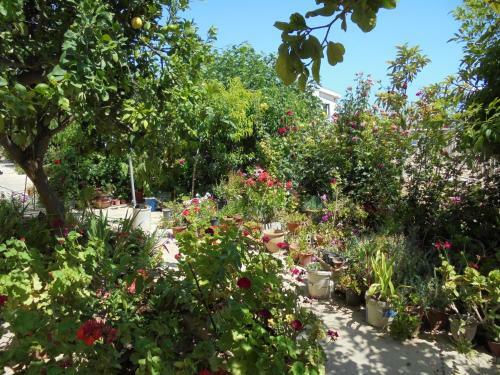 Niki Court Holiday Apartments