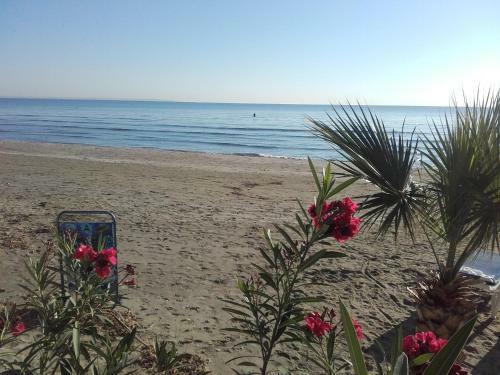 Property Direct Castella Apartment