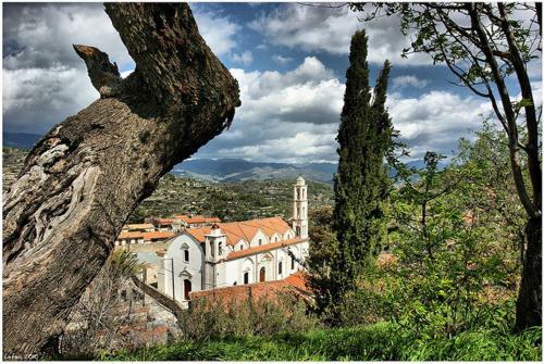 Villa Lofou Traditional Stone House