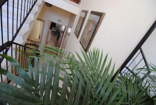 Apartamento La C Mer