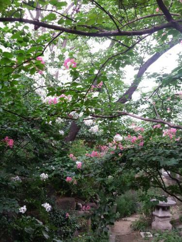 Hostal Jiwoljang Guesthouse