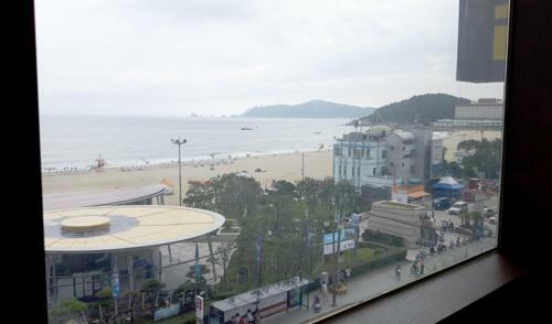 Hotel Camelia