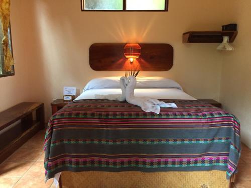 Hostal Tico Adventure Lodge