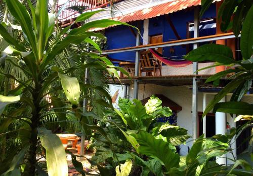 Hostal Tico Adventure Lodge