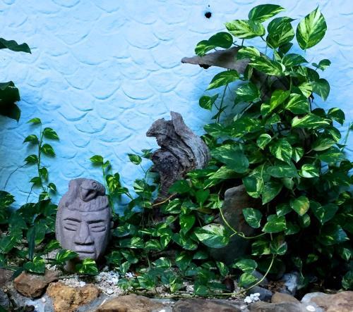 Hostal Tico Adventure Lodge