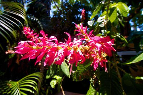 Hostal Tico Adventure Lodge