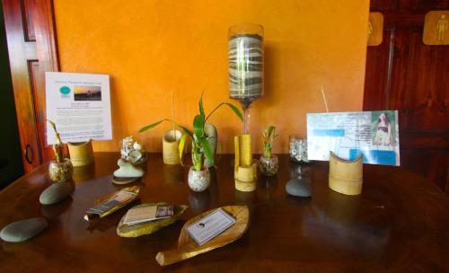 Hostal Tico Adventure Lodge